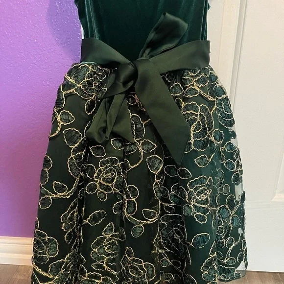 green emerald velvet dress Amazon.com: Rare Editions Little Girls 2T-6X Green/White Floral Print  Sleeveless Cotton Dress, Lime,4: Clothing, Shoes & Jewelry